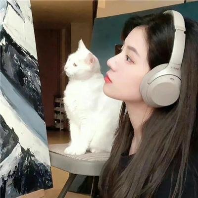 歌手相互论